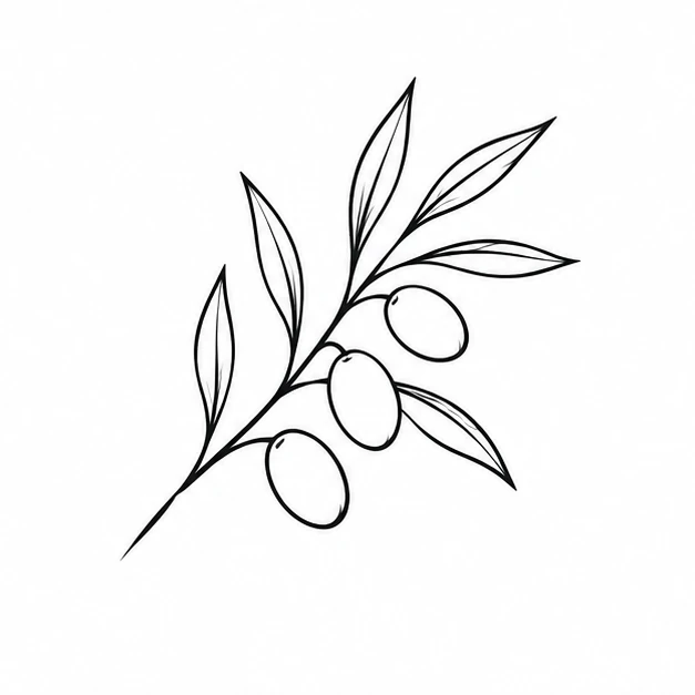 Olive branch in Minimalist tattoo style