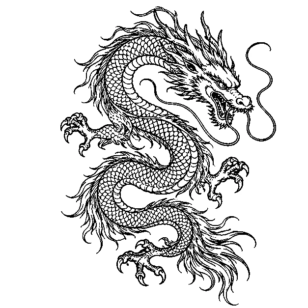 Original an original serpentine dragon, fine line black line stencil on white