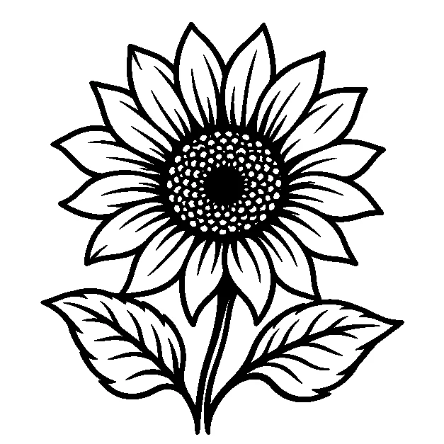 Original one sunflower with two leaves, traditional black line stencil on white
